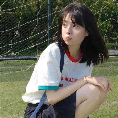 神犬小七第一季